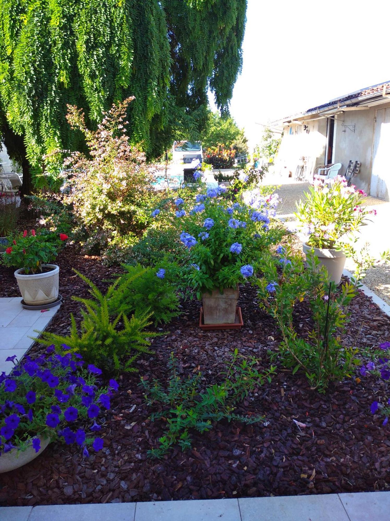 L'Acacia Bed & Breakfast Bergerac Luaran gambar